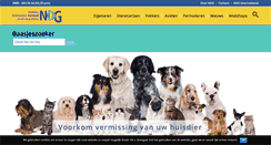 Desktop Screenshot of ndg.nl